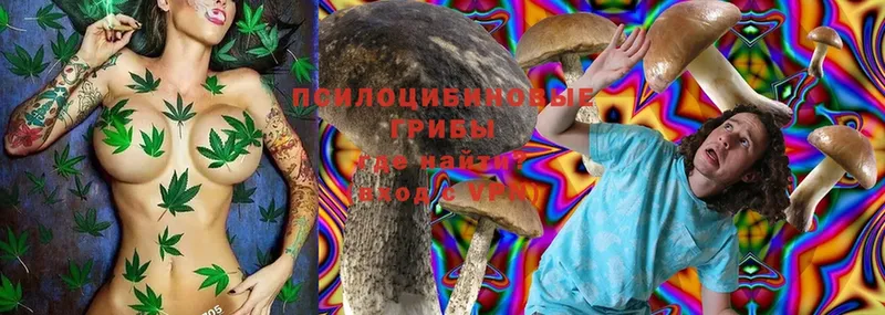 Галлюциногенные грибы Magic Shrooms  Борзя 